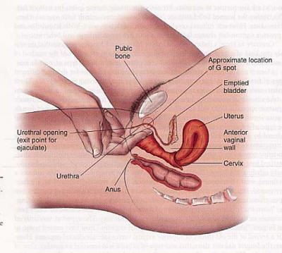 Sex Positions For Gspot 39