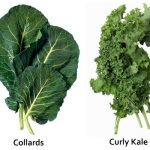 kale and collard greens are nutritional powerhouses